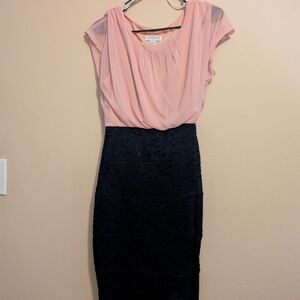 Enfocus Studio Pink and Navy Dress